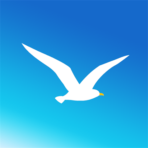 海鸥加速器web